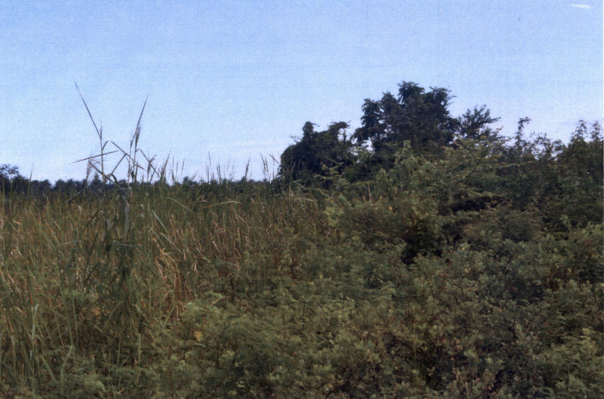 ที่ดินเปล่า ประจวบคีรีขันธ์ เมืองประจวบคีรีขันธ์ บ่อนอก 180750