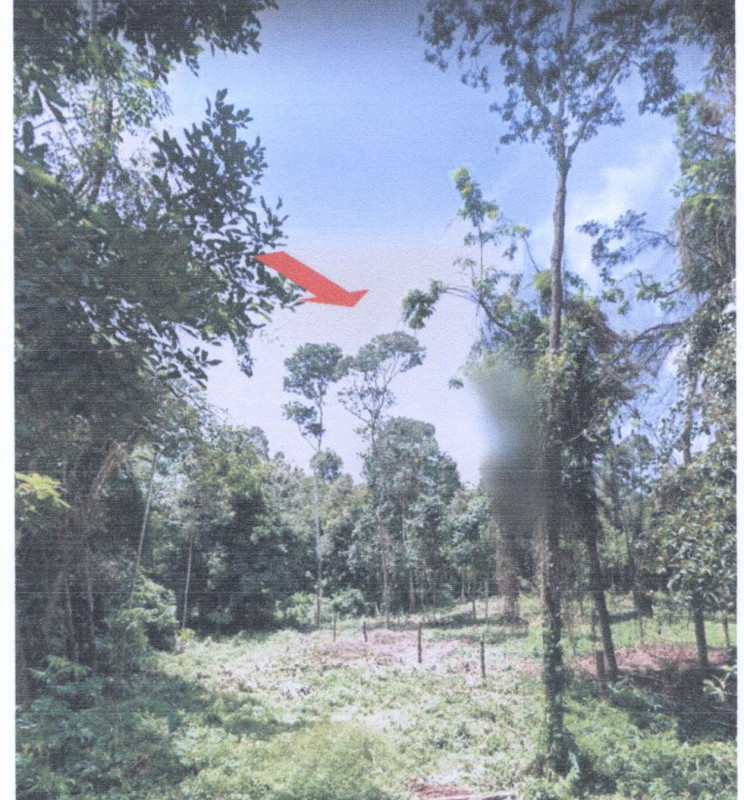 ที่ดินเปล่า ยะลา รามัน อาซ่อง 56400