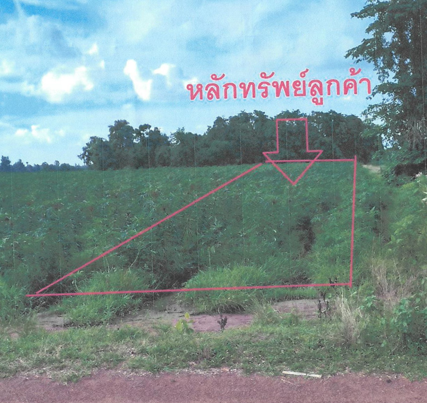ที่ดินเปล่า ชัยนาท หันคา หนองแซง 172800