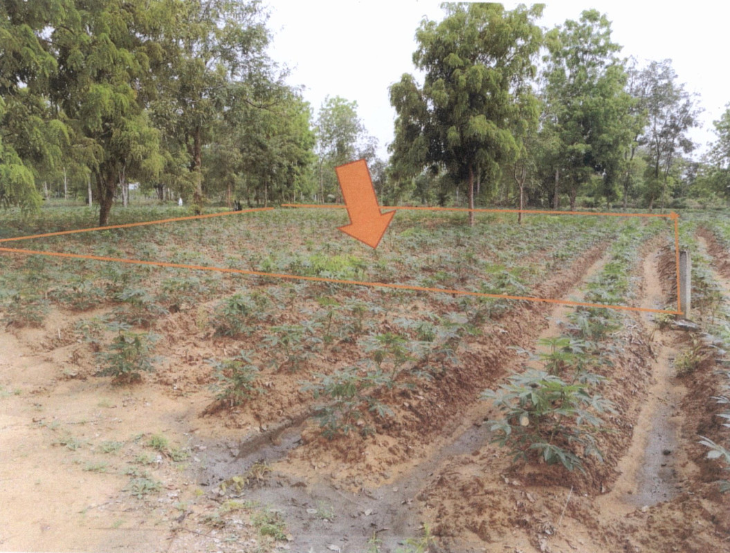 ที่ดินเปล่า อุบลราชธานี นาเยีย นาดี 48000