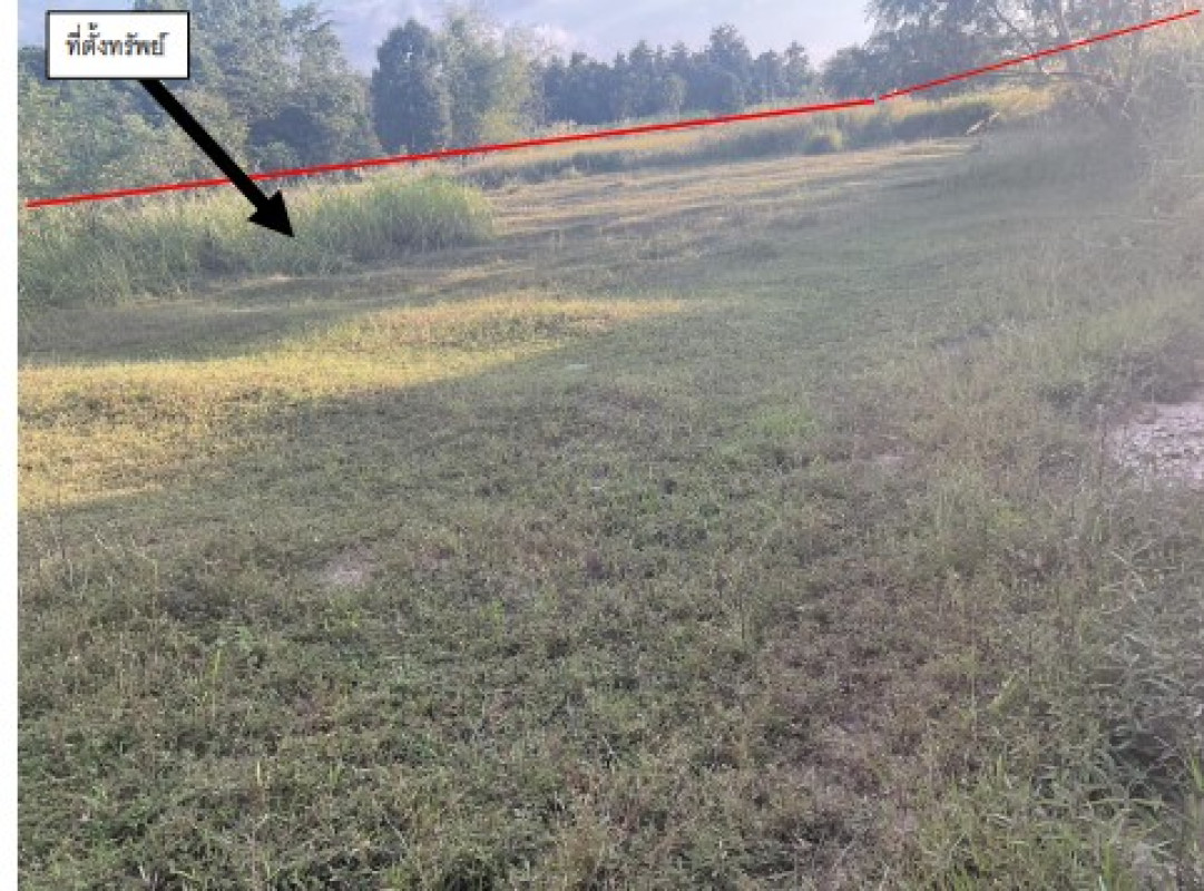 ที่ดินเปล่า อุบลราชธานี นาเยีย นาเยีย 385060