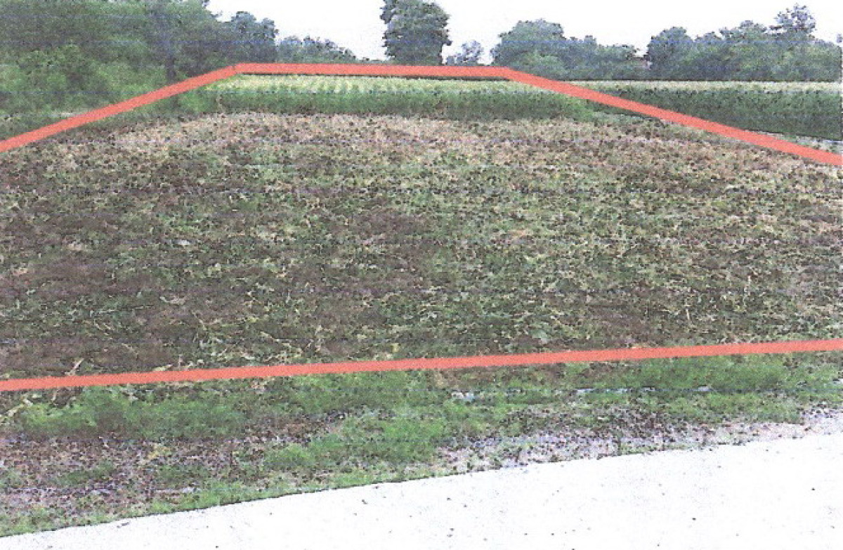 Residential land/lot Phitsanulok Bang Krathum Tha Tan 598026