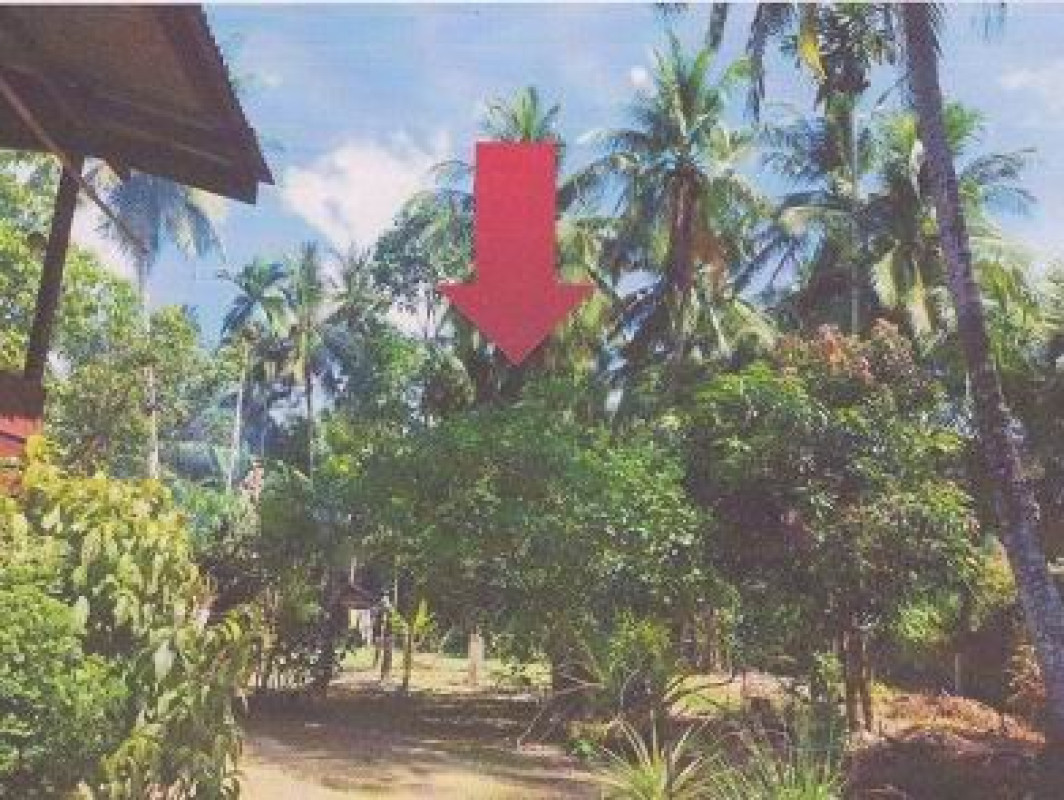 Residential land/lot Trang Sikao Khao Mai Kaeo 33960
