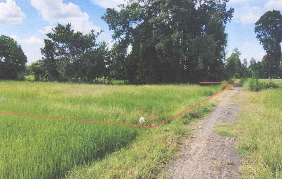 ที่ดินเปล่า ศรีสะเกษ เมืองศรีสะเกษ โพนค้อ 1765720