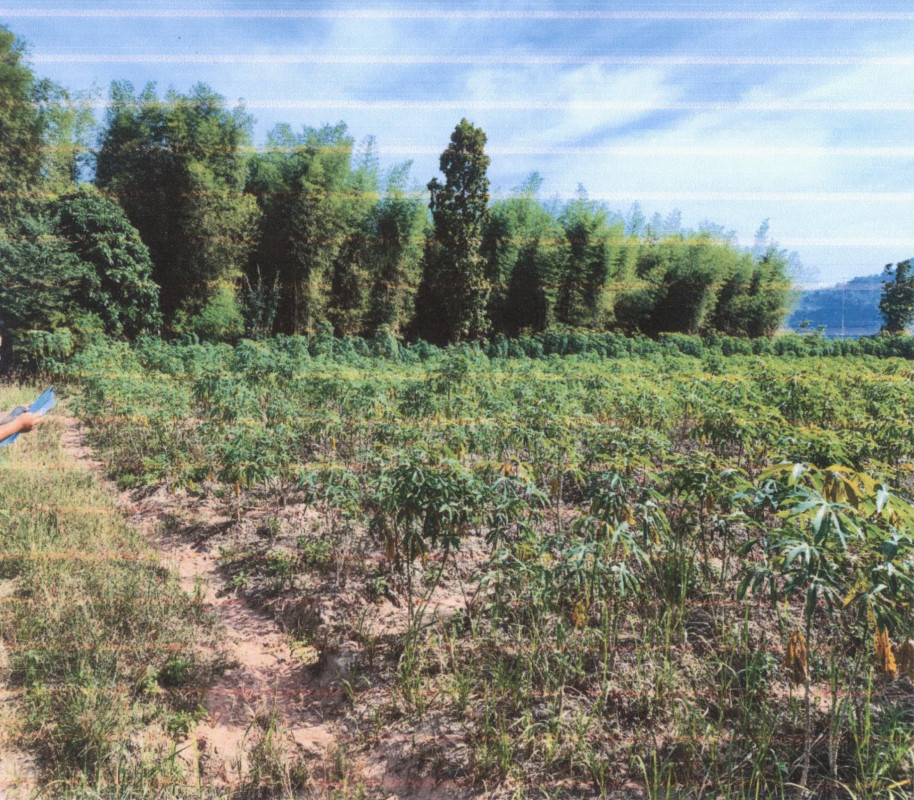 ที่ดินเปล่า ราชบุรี จอมบึง รางบัว 400000