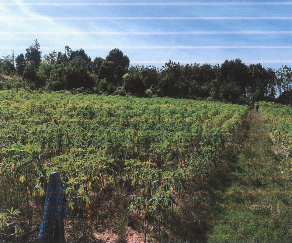 ที่ดินเปล่า ราชบุรี จอมบึง รางบัว 400000