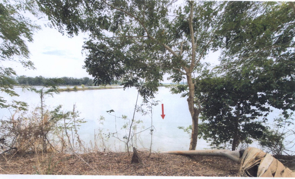 ที่ดินเปล่า พิษณุโลก บางระกำ บางระกำ 145000