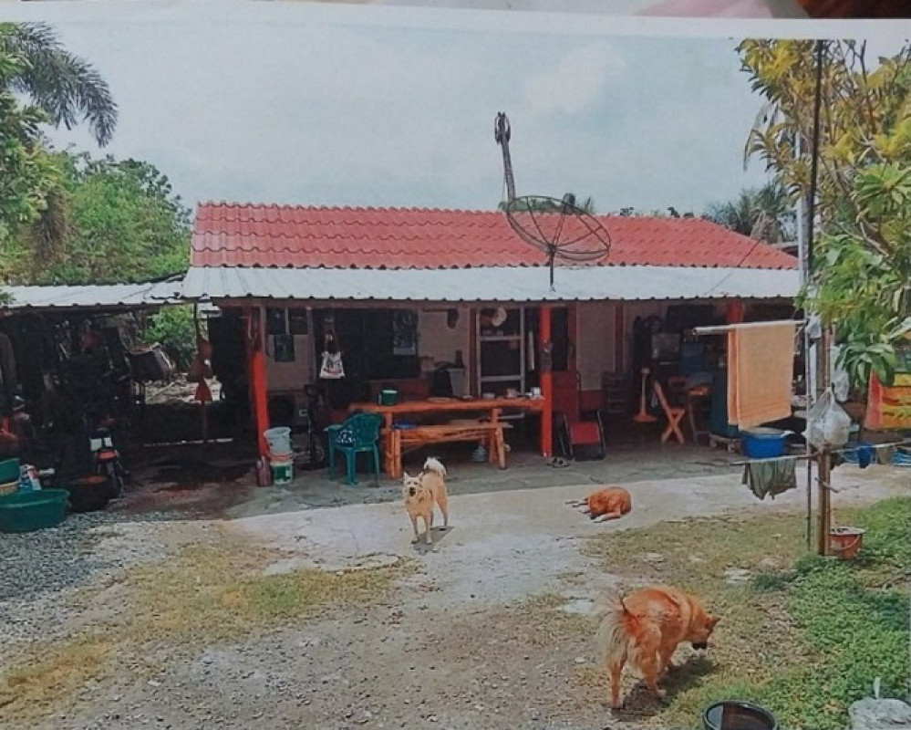Residential land/lot Nakhon Nayok Pak Phli Ko Wai 87600