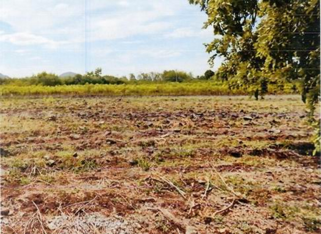 Residential land/lot Phetchabun Si Thep Khlong Krachang 34500