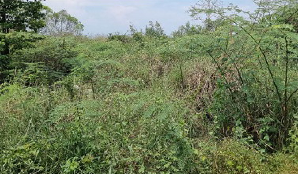 Residential land/lot Nakhon Nayok Pak Phli Ko Pho 22500