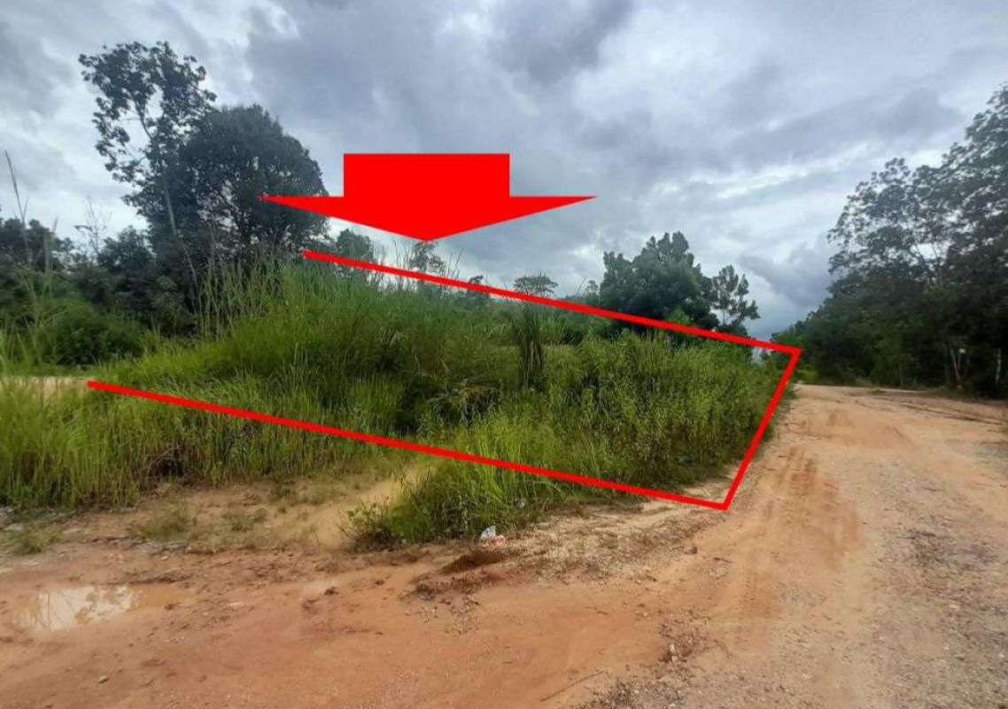 ที่ดินเปล่า นราธิวาส ศรีสาคร ซากอ 27000