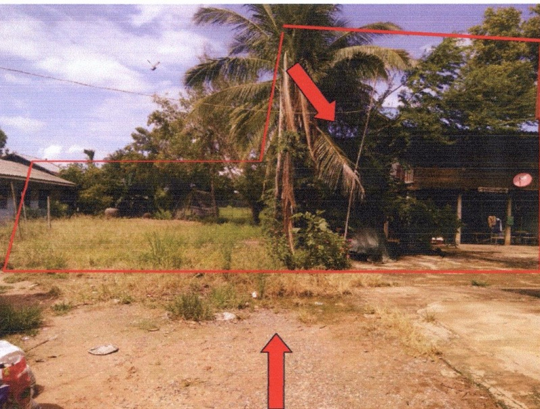 บ้านเดี่ยว พิษณุโลก วังทอง หนองพระ 528500