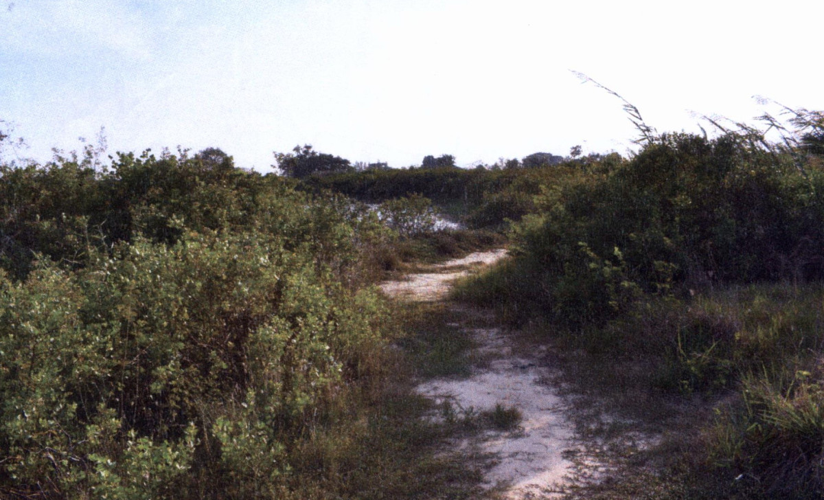 Residential land/lot Prachuap Khiri Khan Mueang Prachuap Khiri Khan Bo Nok 146250