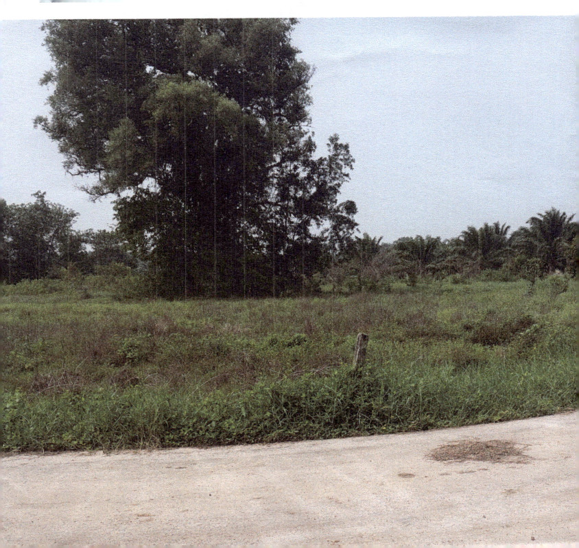 ที่ดินเปล่า ตราด เมืองตราด ท่ากุ่ม 19550
