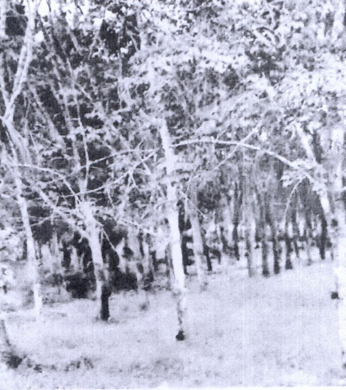 Residential land/lot Chumphon Sawi Khron 757500