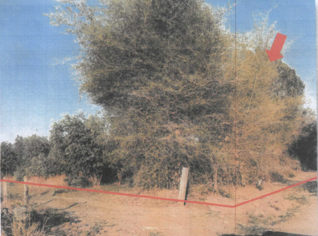 Residential land/lot Maha Sarakham Kosum Phisai Nong Kung Sawan 66600