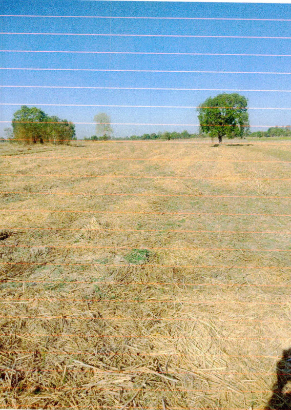 Residential land/lot Si Sa Ket Rasi Salai Nong Khae 177450