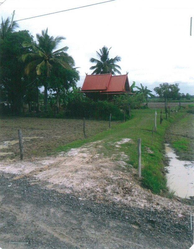 บ้านเดี่ยว บุรีรัมย์ ประโคนชัย บ้านไทร 1426540