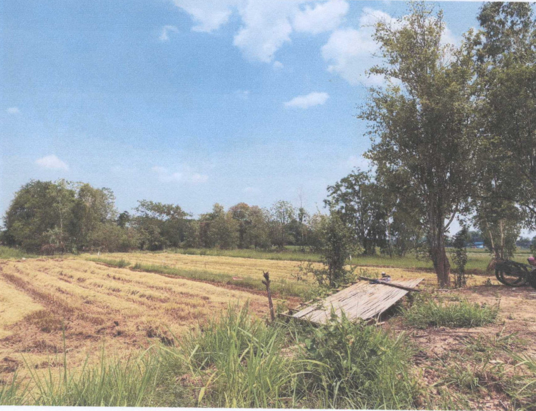 ที่ดินเปล่า มหาสารคาม กันทรวิชัย ขามเรียง 163410