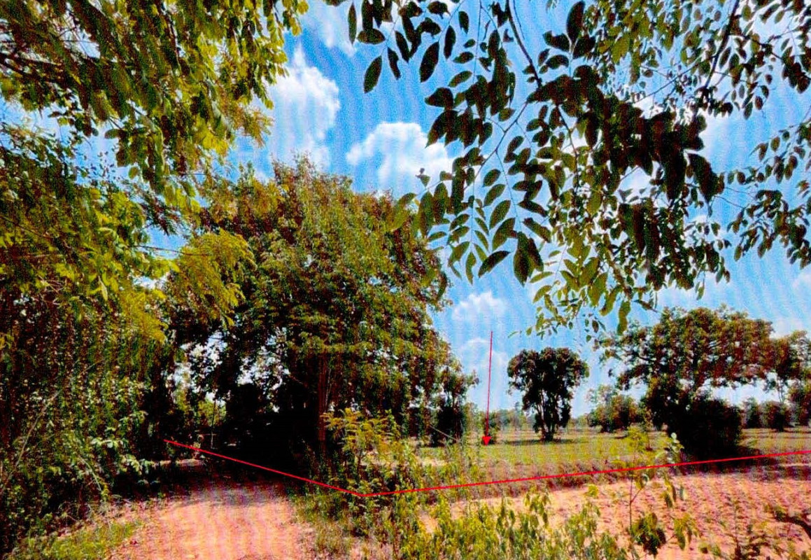 ที่ดินเปล่า ศรีสะเกษ เมืองศรีสะเกษ ทุ่ม 1964100