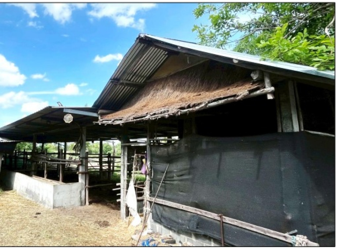 บ้านเดี่ยว ขอนแก่น พล โนนข่า 787600