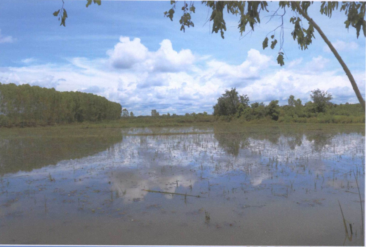 ที่ดินเปล่า สกลนคร บ้านม่วง ดงเหนือ 109440