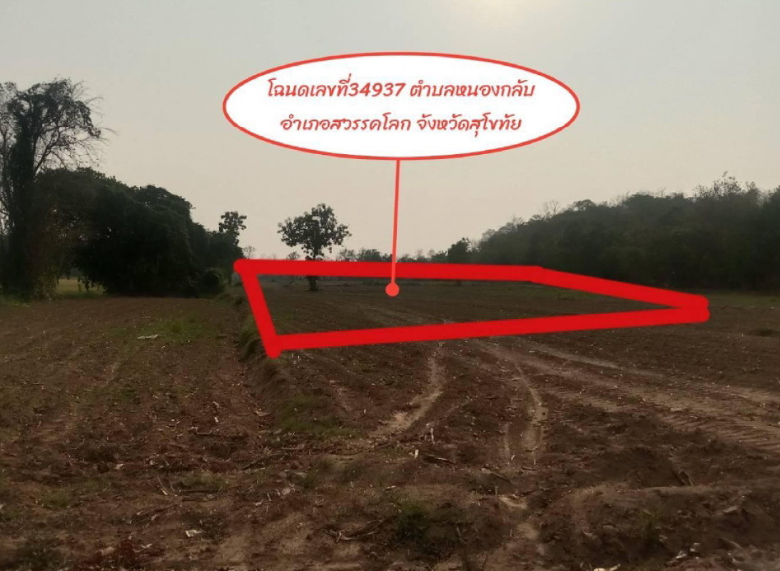 ที่ดินเปล่า สุโขทัย สวรรคโลก หนองกลับ 78120