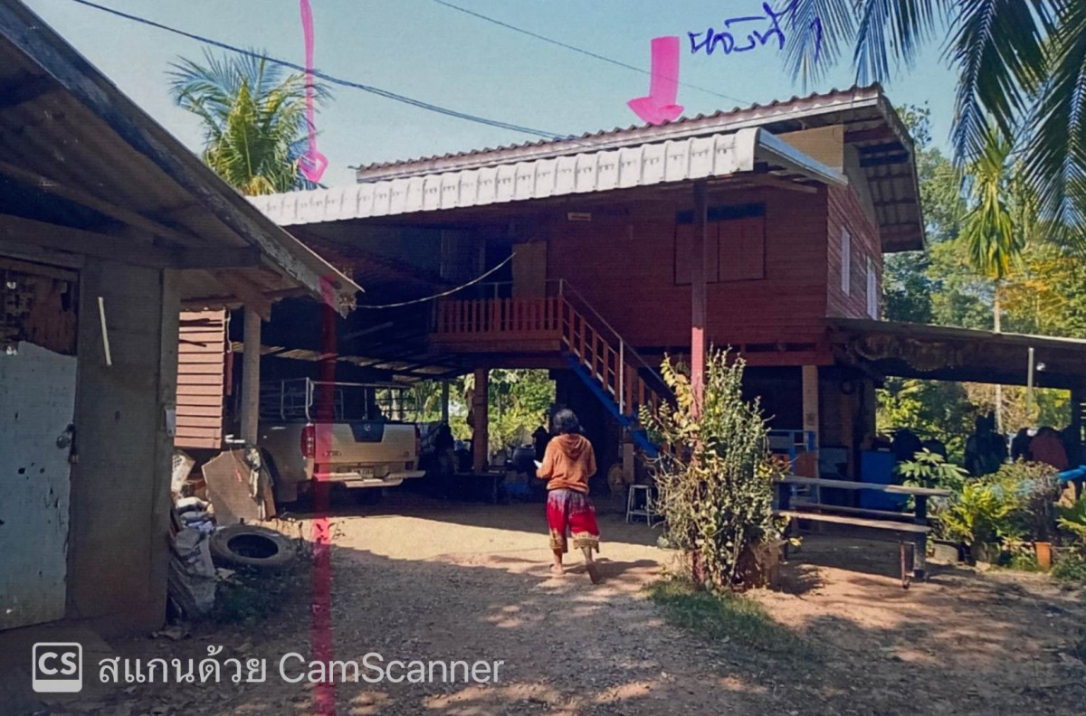 บ้านเดี่ยว พิษณุโลก พรหมพิราม พรหมพิราม 504894