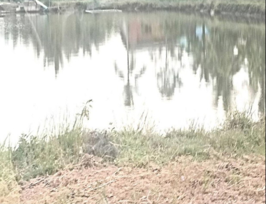 ที่ดินเปล่า นครศรีธรรมราช เมืองนครศรีธรรมราช ปากนคร 690000