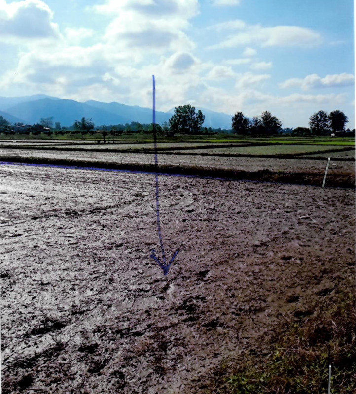 ที่ดินเปล่า เชียงราย ขุนตาล ป่าตาล 251750