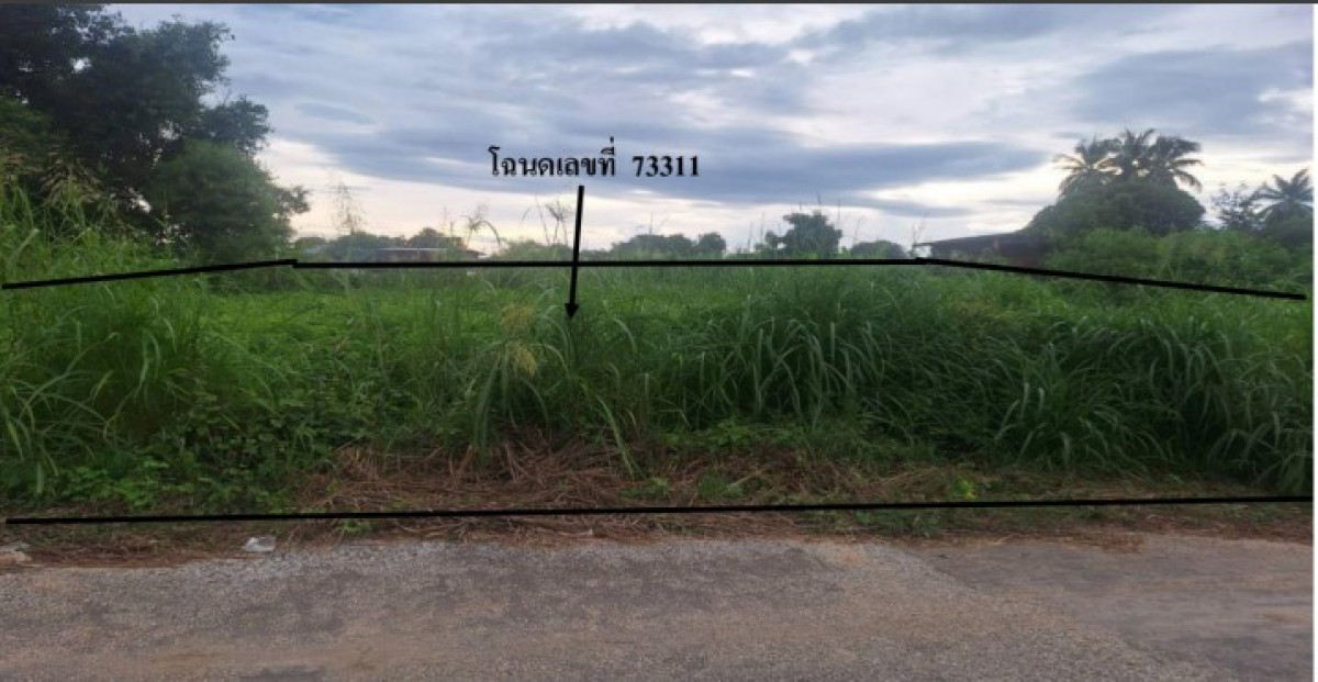 ที่ดินเปล่า พิษณุโลก บางระกำ บางระกำ 82031