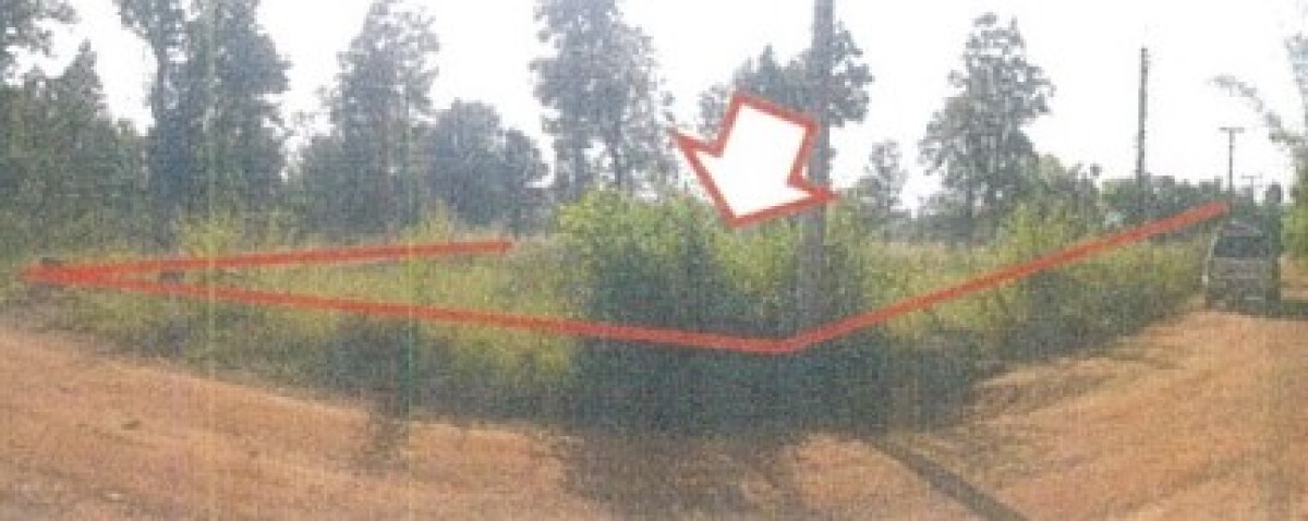 Residential land/lot Sakon Nakhon Wanon Niwat Si Wichai 416000