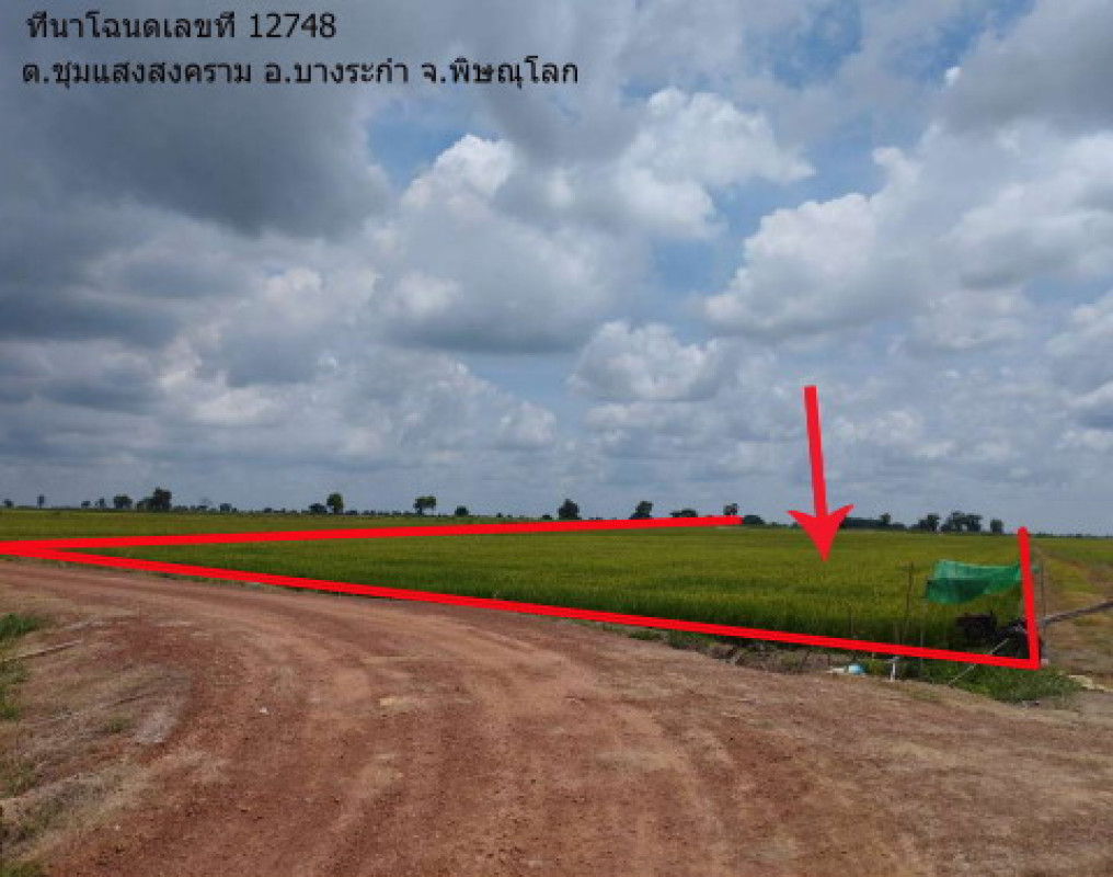 Residential land/lot Phitsanulok Bang Rakam Chum Saeng Songkhram 915900