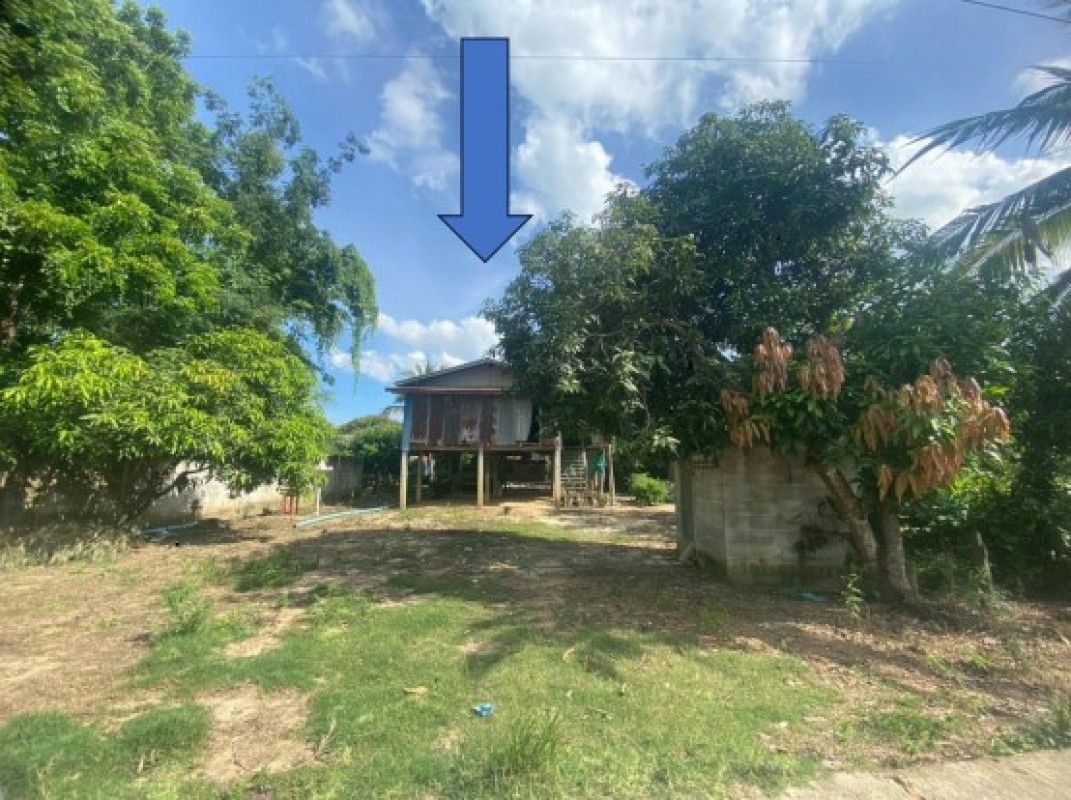 บ้านเดี่ยว พิษณุโลก บางระกำ คุยม่วง 309880