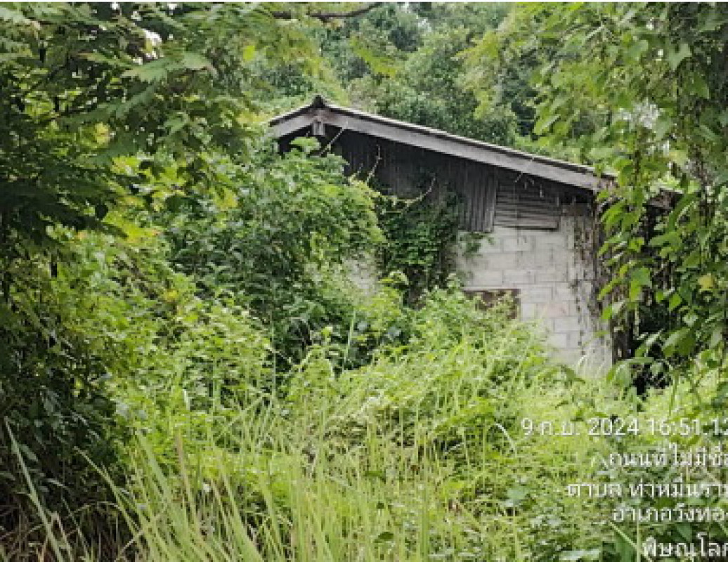 บ้านเดี่ยว พิษณุโลก วังทอง ท่าหมื่นราม 412620