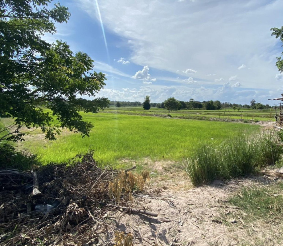 Residential land/lot Maha Sarakham Wapi Pathum Suea Kok 425000