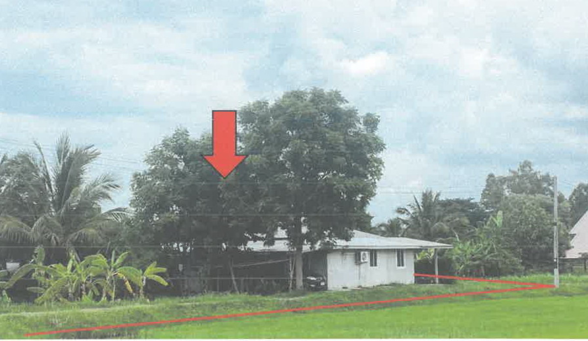 บ้านเดี่ยว มหาสารคาม เมืองมหาสารคาม ท่าสองคอน 1294000