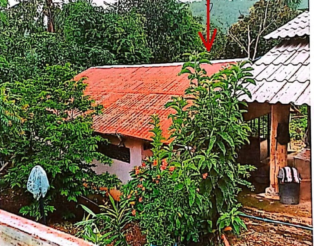 บ้านเดี่ยว แม่ฮ่องสอน ขุนยวม เมืองปอน 935140