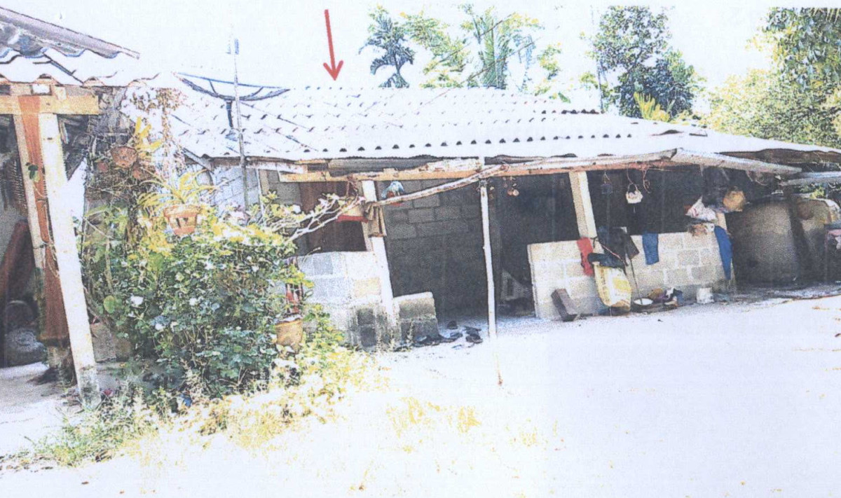 บ้านเดี่ยว นครศรีธรรมราช บางขัน บ้านลำนาว 459045