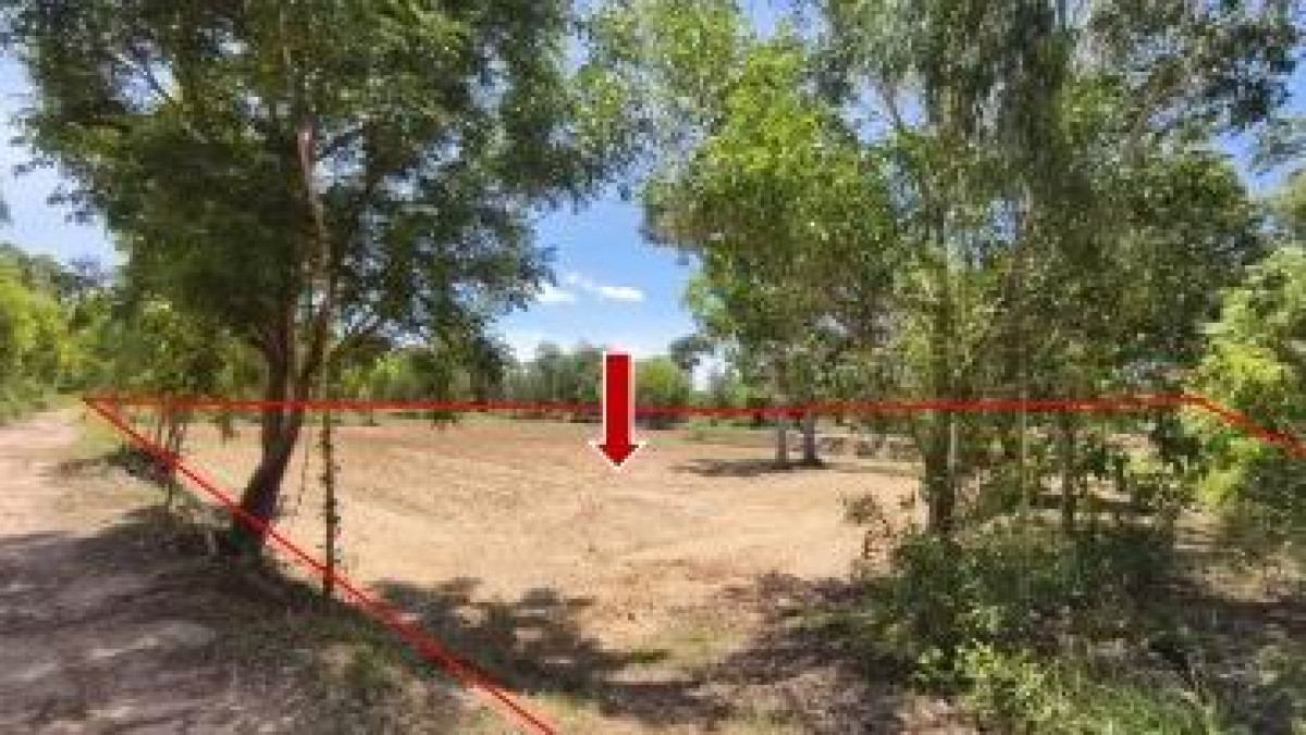 ที่ดินเปล่า บุรีรัมย์ พุทไธสง หายโศก 1695195