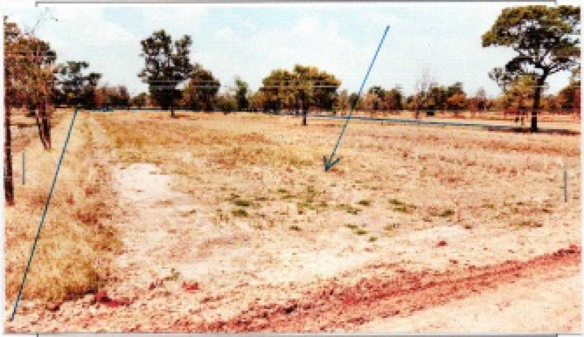 ที่ดินเปล่า บุรีรัมย์ พุทไธสง พุทไธสง 207856