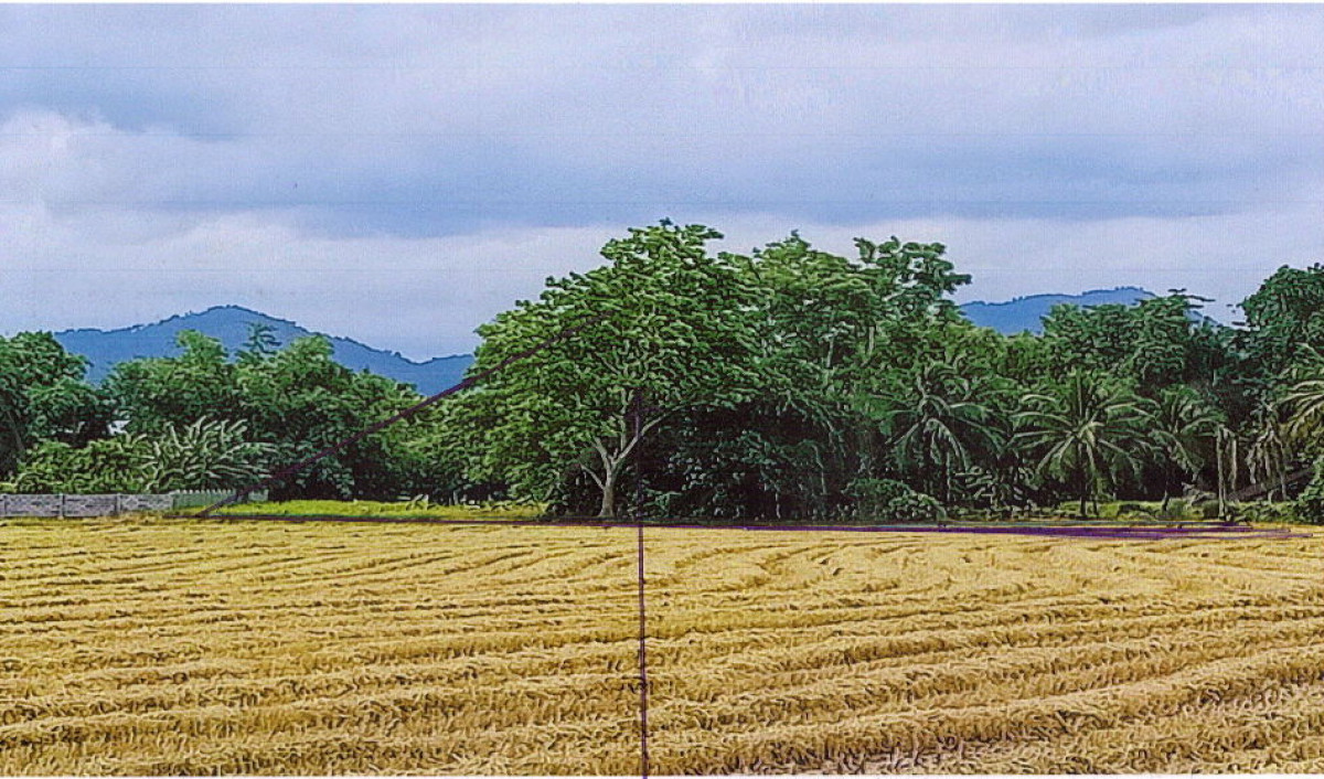 ที่ดินเปล่า นครนายก เมืองนครนายก พรหมณี 241250