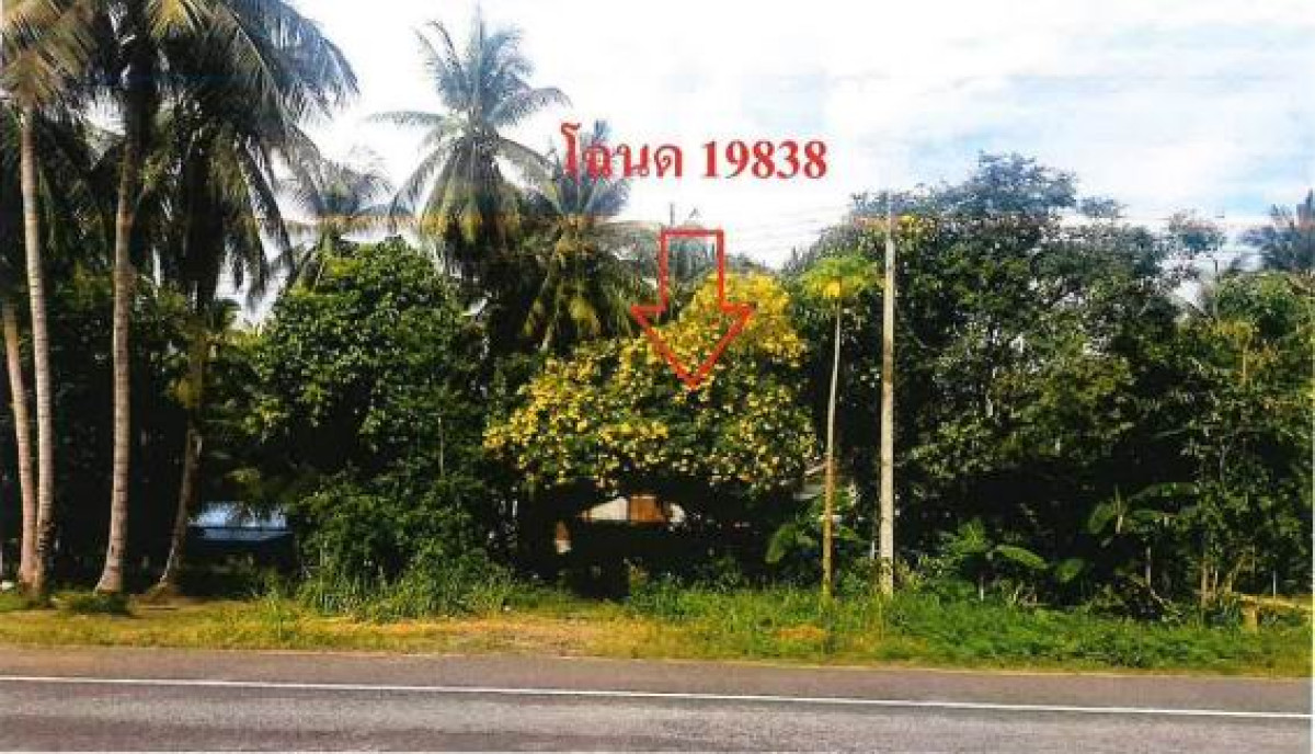 บ้านเดี่ยว นครศรีธรรมราช สิชล ทุ่งใส 814360