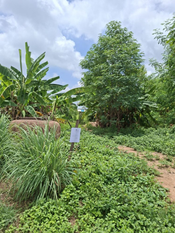 ที่ดินเปล่า มหาสารคาม เมืองมหาสารคาม เขวา 92000