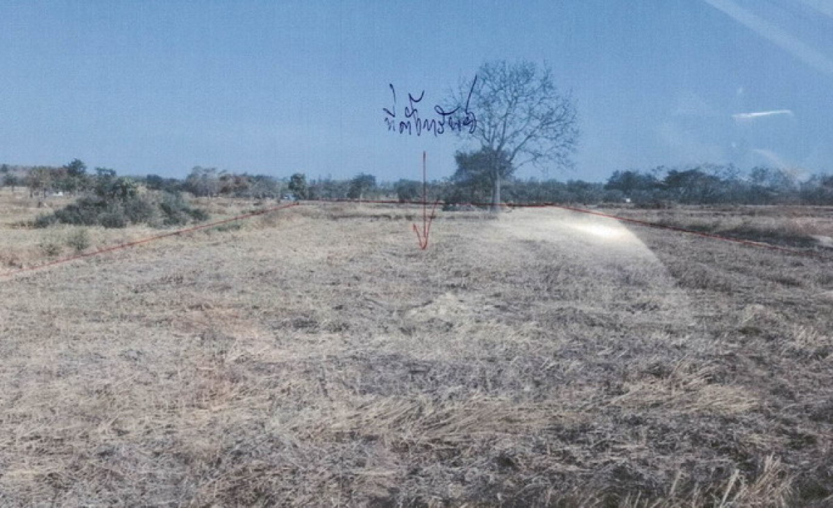 ที่ดินเปล่า เพชรบูรณ์ วิเชียรบุรี ท่าโรง 1181280