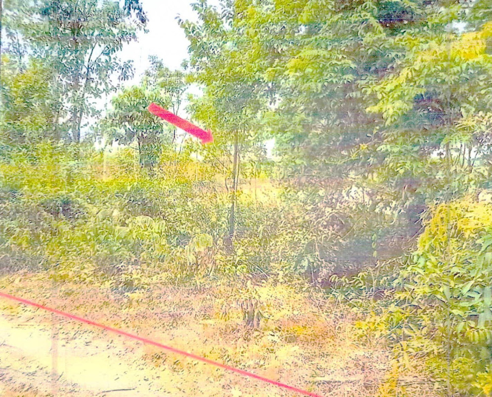 ที่ดินเปล่า ศรีสะเกษ กันทรารมย์ ผักแพว 145990