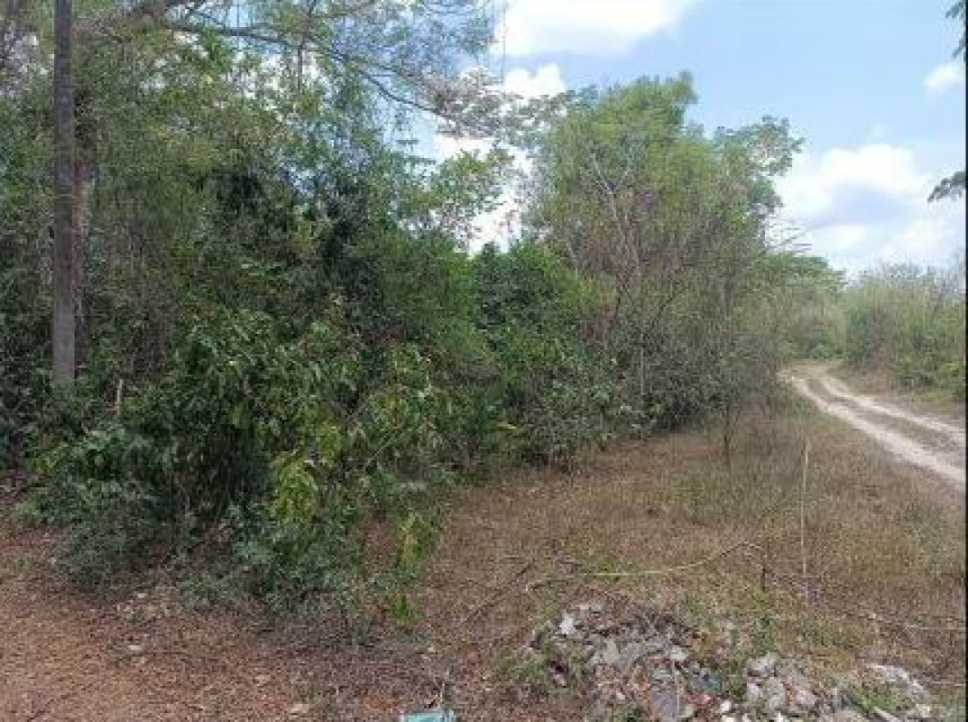 ที่ดินเปล่า นครศรีธรรมราช พระพรหม ช้างซ้าย 131875