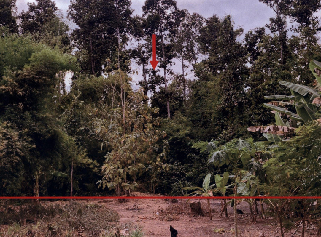 ที่ดินเปล่า สุรินทร์ ท่าตูม หนองบัว 17500