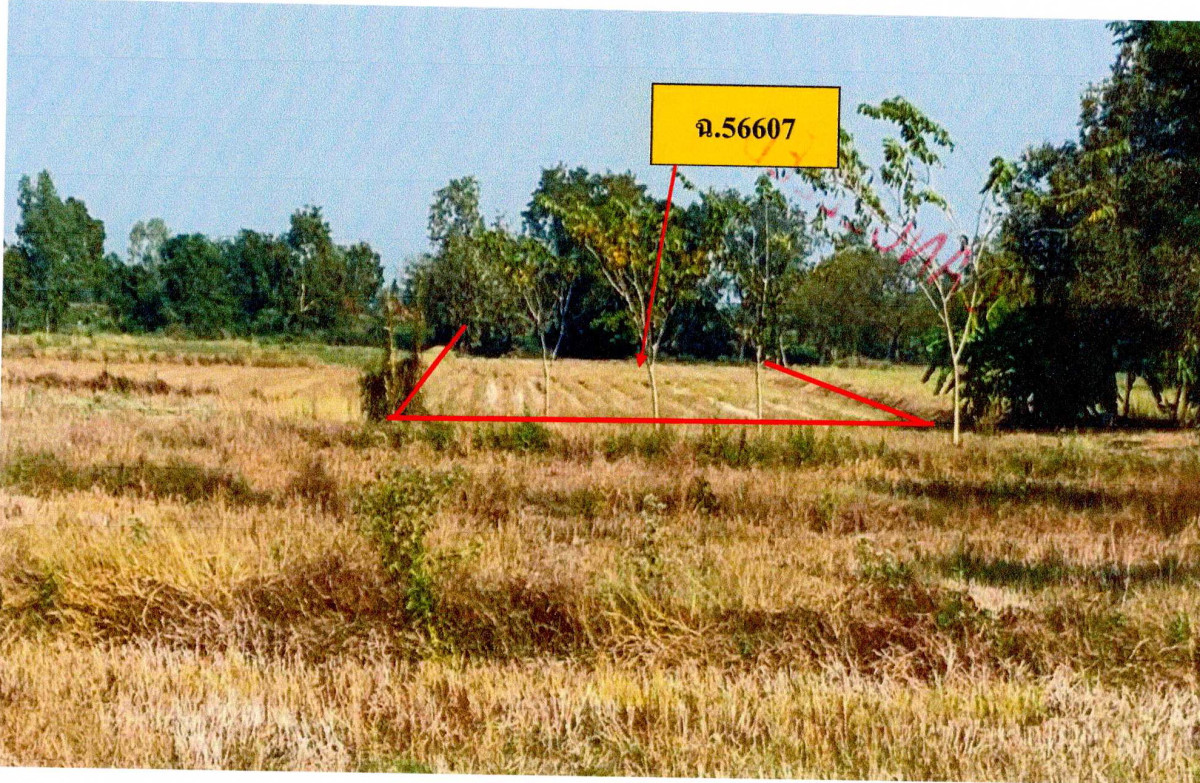 ที่ดินเปล่า พิษณุโลก พรหมพิราม ท่าช้าง 800000