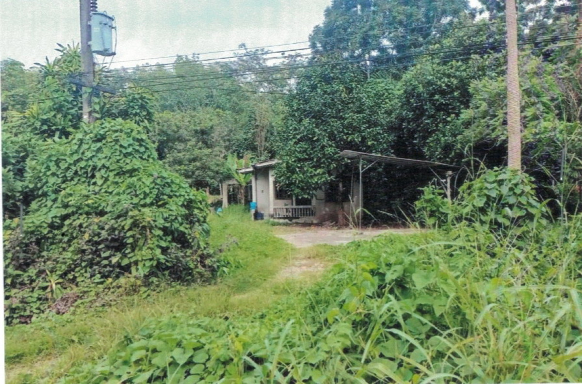 บ้านเดี่ยว นครศรีธรรมราช ทุ่งใหญ่ ท่ายาง 1239125